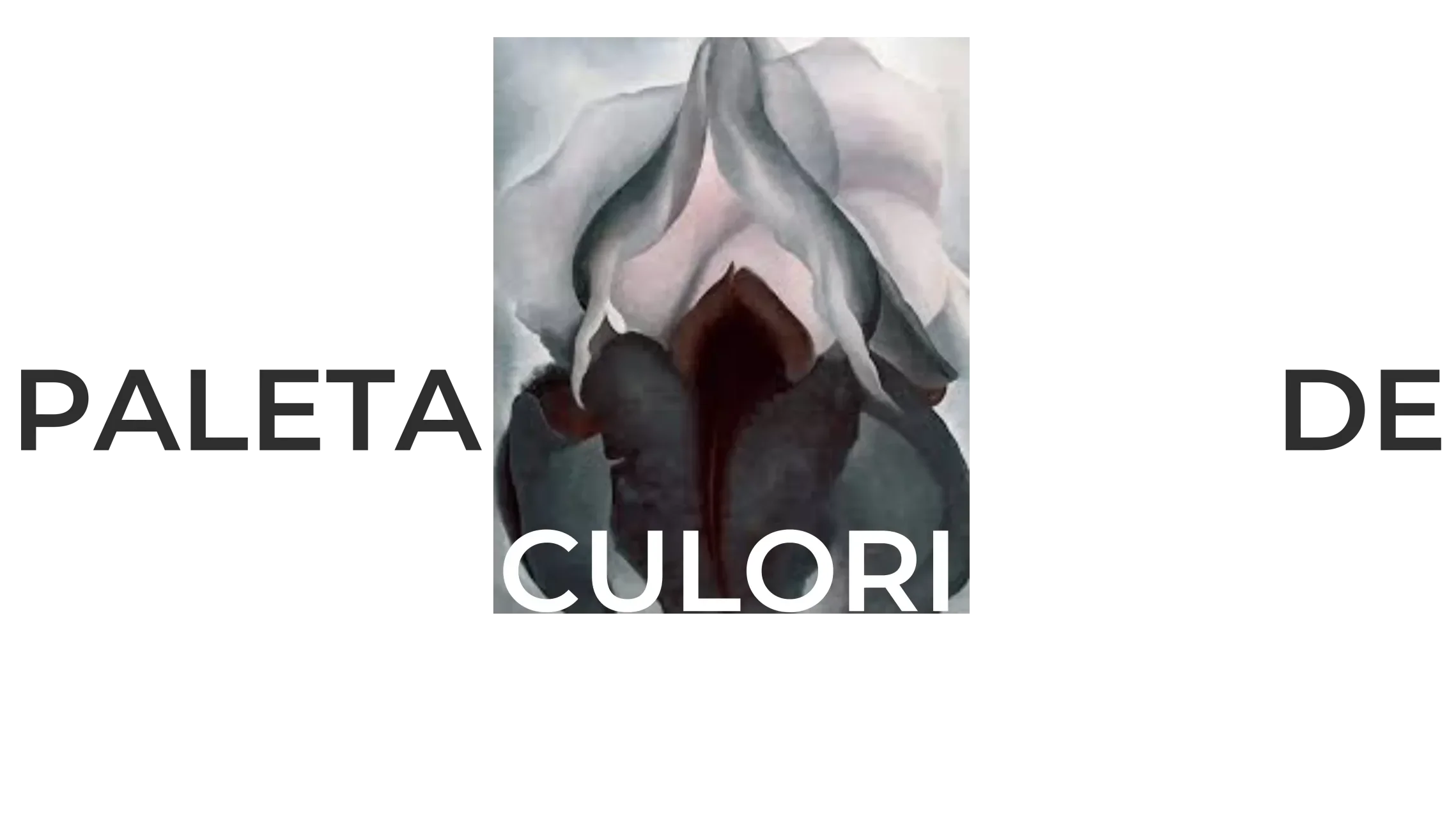 Magazin online textile sustenabile - Ipanomi.com