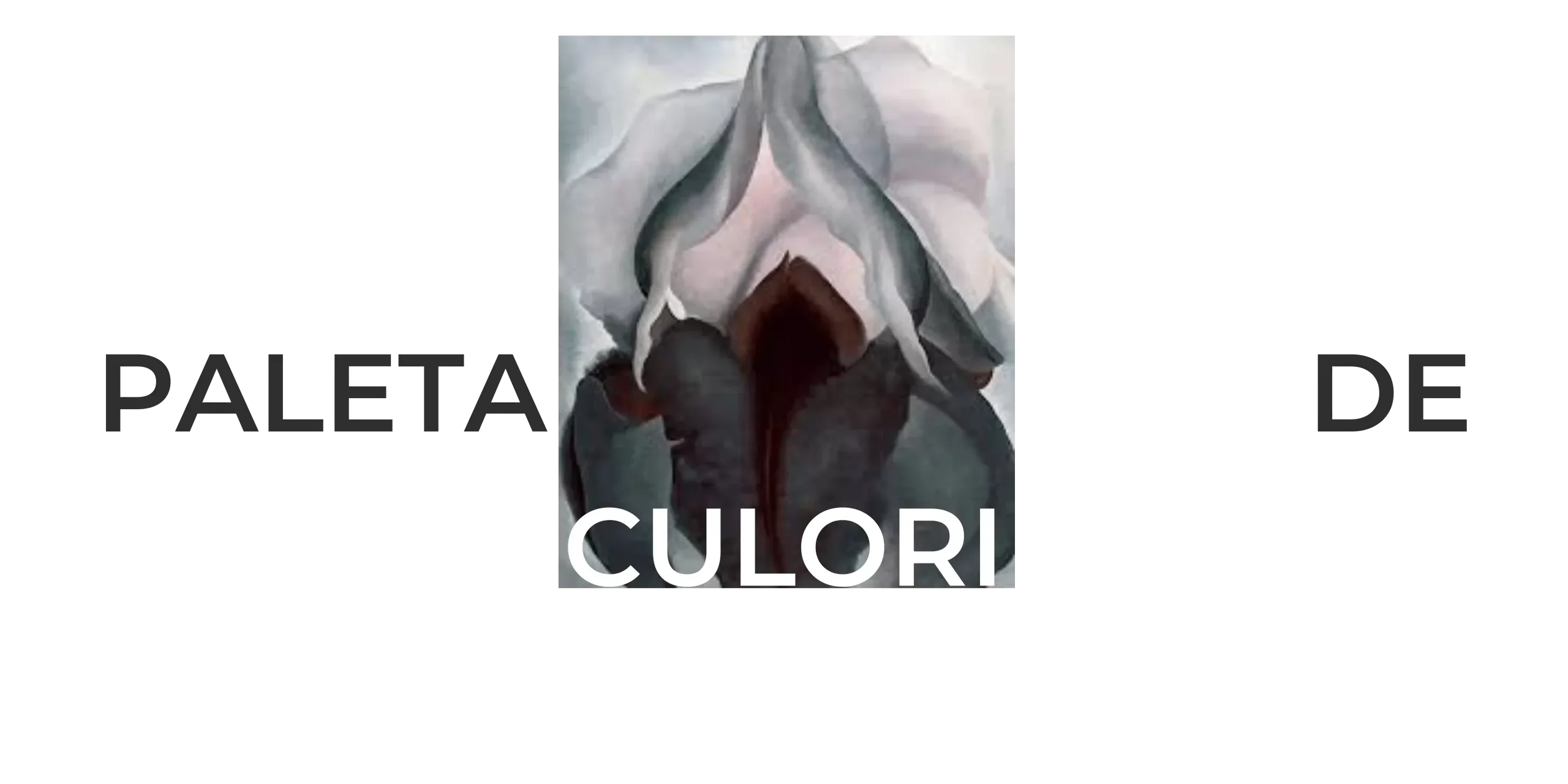 Magazin online textile sustenabile - Ipanomi.com